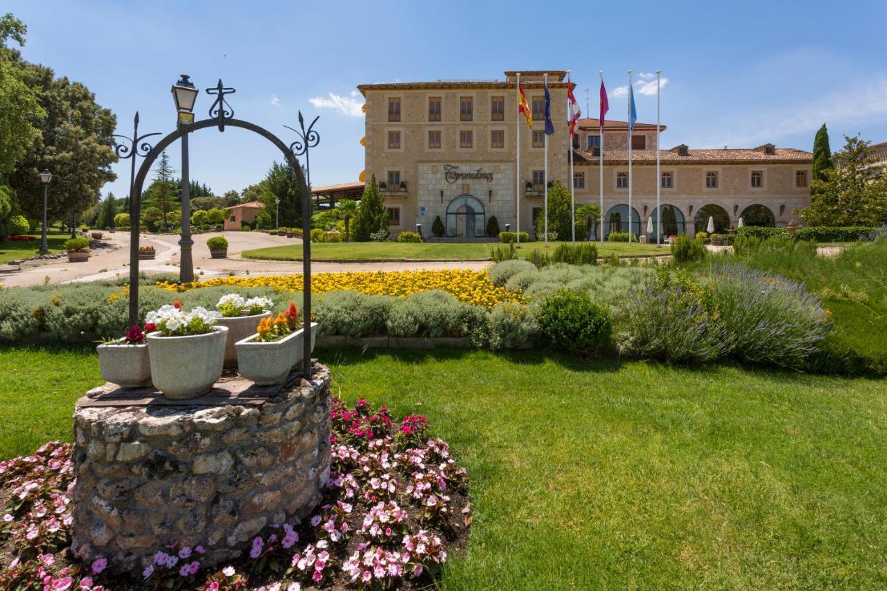 Hotel Torremilanos Aranda de Duero Exterior photo